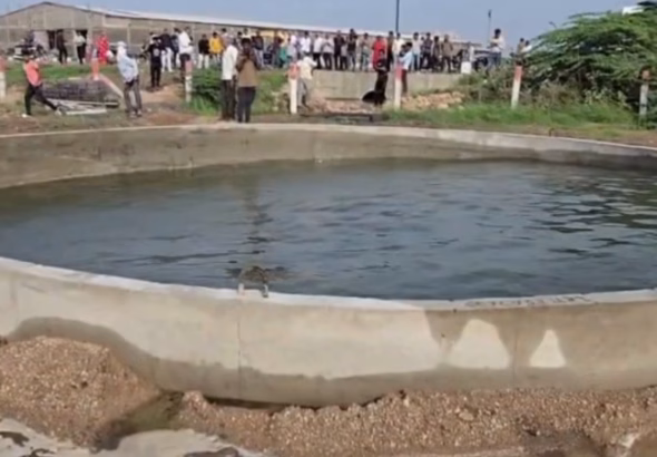 Gujarat-Well