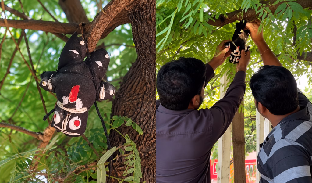Black-Talisman-Removal-Under-the-Trees-1024x600